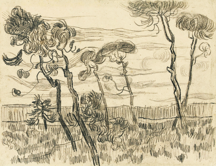  文森特·威廉·梵高  Vincent Willen Van Gogh —— 松树